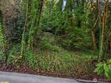 43 Fernbrook Drive - Photo 3