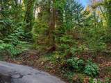43 Fernbrook Drive - Photo 4