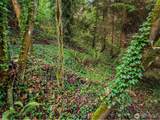 43 Fernbrook Drive - Photo 5