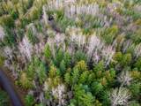 9999 Ferndale Dr - Photo 8