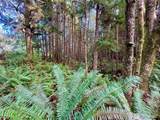 0 Copalis Beach Road - Photo 14