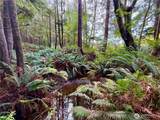 0 Copalis Beach Road - Photo 10