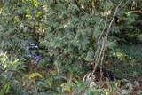 0 Arrowhead Trails - Photo 3