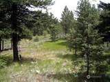 0 Mule Deer Road - Photo 1