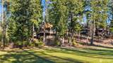 262 Black Nugget - Photo 39