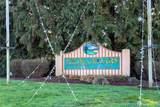 15007 148th Avenue Ct - Photo 33