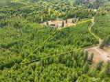 0 Lot A Satsop Road - Photo 1