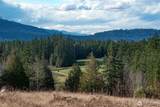 2495 Chicken Coop Road - Photo 22