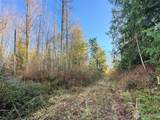 2495 Chicken Coop Road - Photo 37