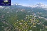 11857 Elk Trails Drive - Photo 3