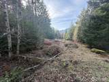 115 Ridge Lane - Photo 6