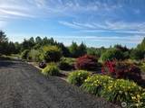 222 Volcano Lane - Photo 7