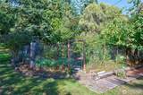 376 Schwartz Road - Photo 35