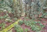 121 Machias Loop - Photo 39