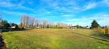 804 Cameron Road - Photo 17
