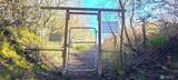 804 Cameron Road - Photo 18