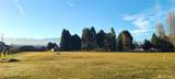 804 Cameron Road - Photo 6