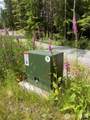 27009 170th Street - Photo 4