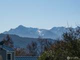 955 5th Avenue - Photo 8
