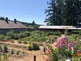 11825 112th Avenue - Photo 8