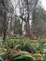 25 Roosevelt Road - Photo 3