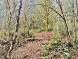 705 Colonel Wright Road - Photo 26