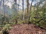 705 Colonel Wright Road - Photo 28