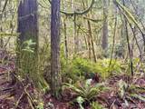705 Colonel Wright Road - Photo 4