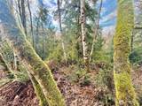 705 Colonel Wright Road - Photo 34