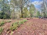 705 Colonel Wright Road - Photo 10