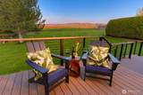 1224 Rooster Road - Photo 39