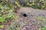 133 Lost Creek Drive - Photo 25