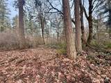 20403 248th Street - Photo 33