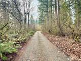 20403 248th Street - Photo 6