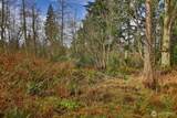 0 Goss Lake Road - Photo 4