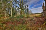 0 Goss Lake Road - Photo 5