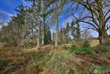0 Goss Lake Road - Photo 8
