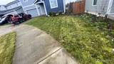 9132 Candytuft Court - Photo 3