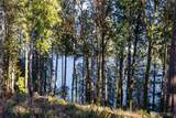 123 Hwy 101 - Photo 9