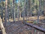 9999 TBD Lundimo Meadows Road - Photo 3