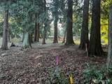 0 XXX Forest View Drive - Photo 3