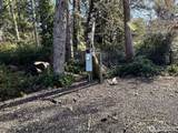 864 Hassalo Avenue - Photo 14