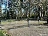 864 Hassalo Avenue - Photo 3