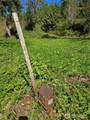 30703 408th Street - Photo 40
