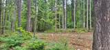 0 Mt Jupiter Drive - Photo 4