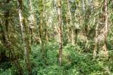 1 Swamp Road - Photo 8