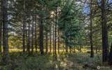 90 Gold Fountain Lane - Photo 4