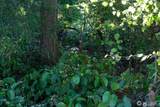1111 1st Avenue - Photo 15