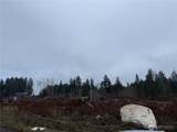 3 Track Rimstone Loop - Photo 4