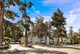 7806 Birch Bay Drive - Photo 6